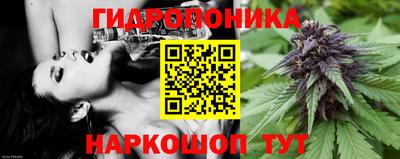 стаф Кулебаки