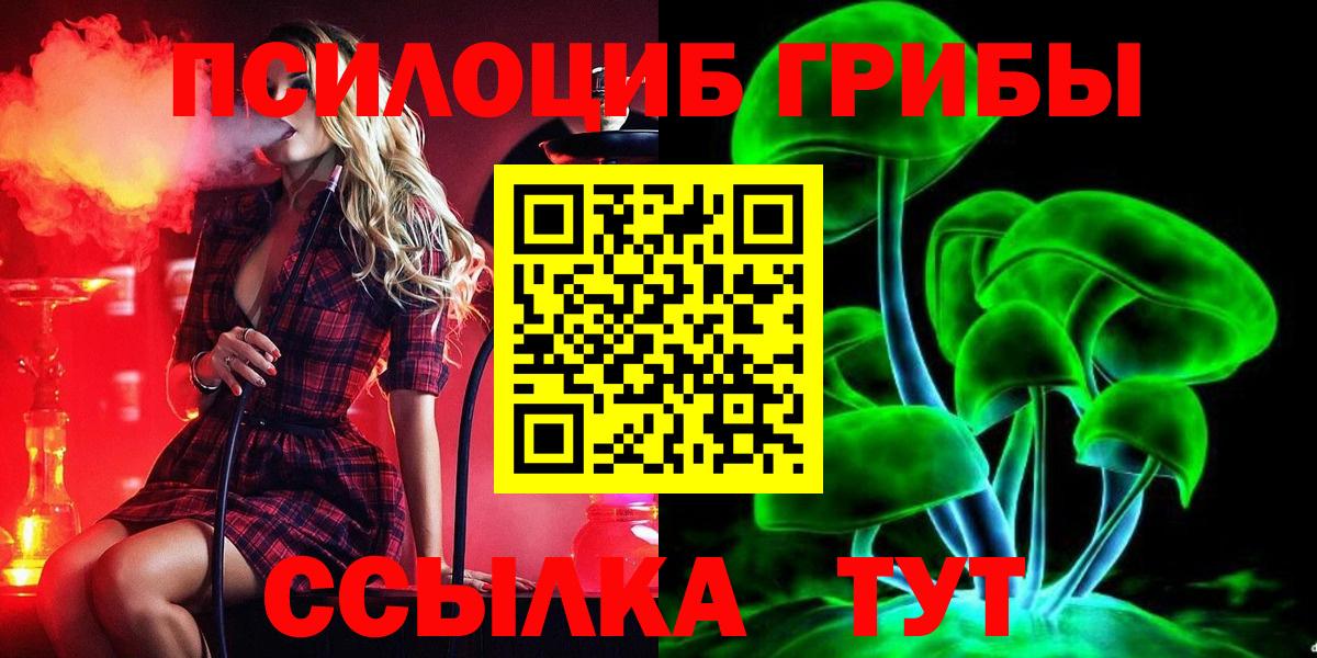 Псилоцибиновые грибы MAGIC MUSHROOMS  Вход с VPN  где найти   Армавир 